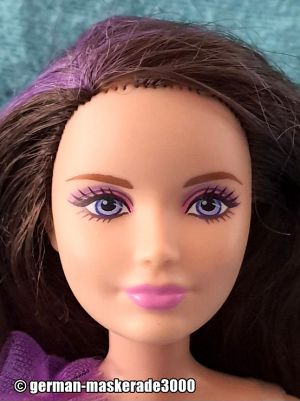 2015 Barbie Sisters' Winter Fun Skipper CMY41