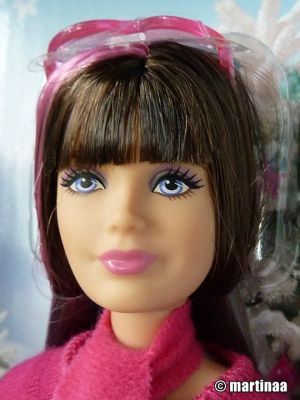 2016 Barbie Sisters' Winter Fun Skipper CMY43