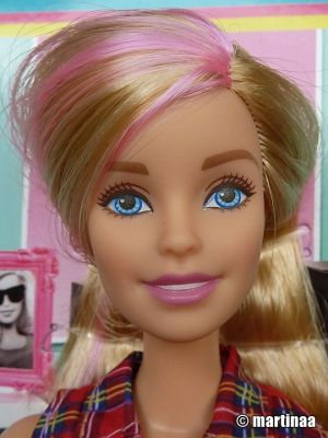 2016 Hair Pretty Giftset Barbie & Skipper DGX42