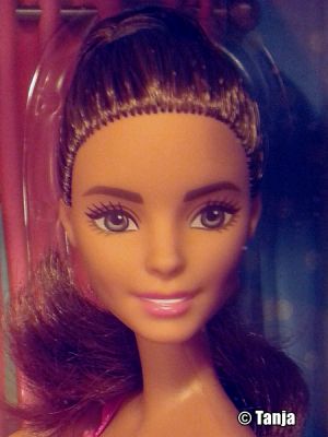 2017 Bathroom & Barbie Giftset DVX53