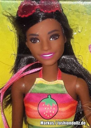 2019 Crayola Fruit Splash Barbie AA   GBK19