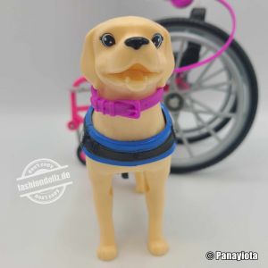 2023 Barbie with Wheelchair and Service Dog #HJY85