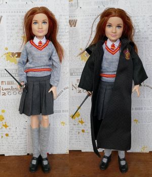 2018 Ginny Weasley, Harry Potter