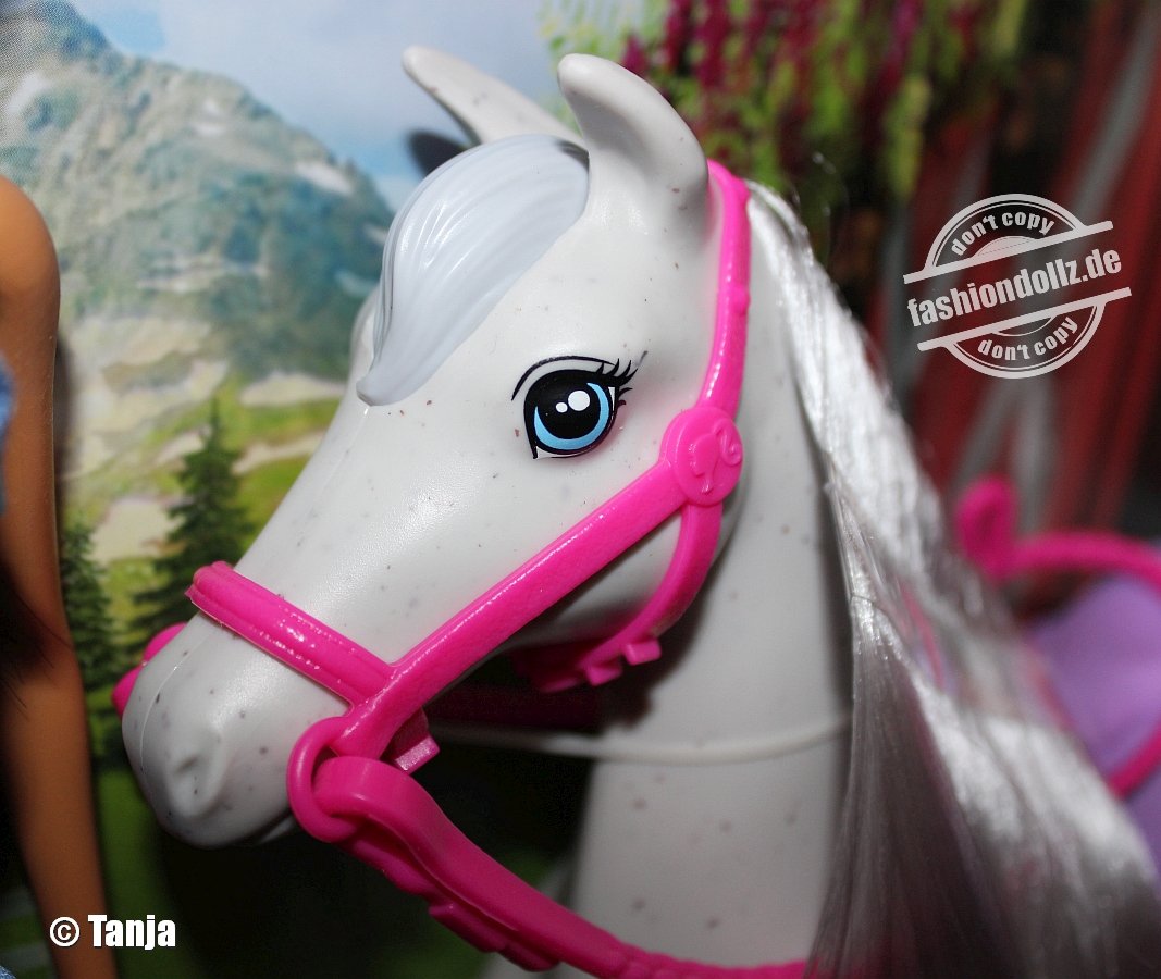 2021 Barbie & Horse Playset #HCJ53