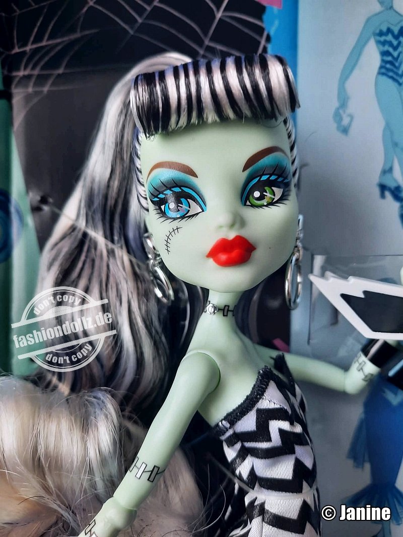 2025 Monster High Skullector - Frankie Stein x Barbie #JHK28