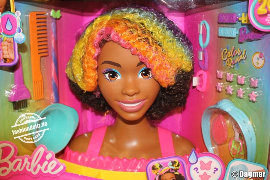 2023 Barbie Color Reveal Styling Head AA #HMD79