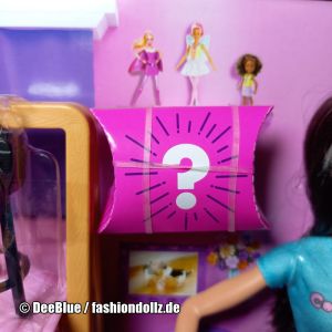 2020 Cookie Swirl C Barbie Playset #GLJ38 - Mystery Box (3)