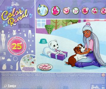 2021 Color Reveal Barbie Advent Calendar            HBT74
