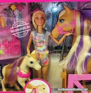 2021 Groom ’n Care Barbie and Horses Playset #HGB58