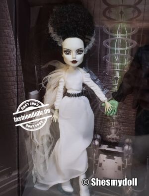 2022 Frankenstein & Bride of Frankenstein - Monster High Skullector Doll Set #    HDW25
