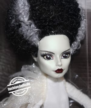 2022 Frankenstein & Bride of Frankenstein - Monster High Skullector Doll Set #  HDW25