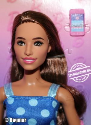 2025 Fashionistas  #242 Barbie-Doll with Diabetes Typ1   HYT97  